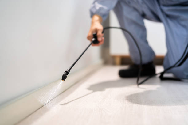 Licensed Termite Control service in Acworth, GA - Nex Pest Control