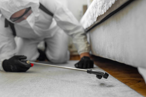 Professional Termite Control technician working in Acworth, GA