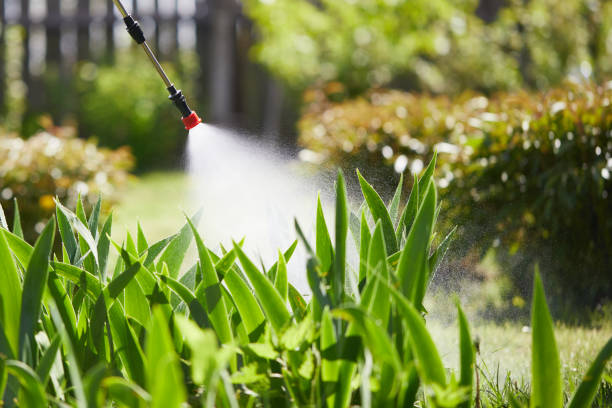 24/7 Emergency Termite Control experts in Acworth, GA
