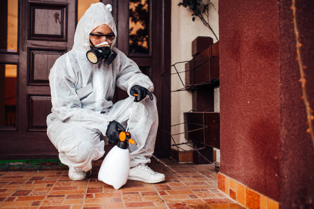 Reliable Termite Control contractor in Acworth, GA by Nex Pest Control